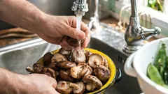 Pravilno pranje gljiva: što utječe na teksturu i vrijeme prženja